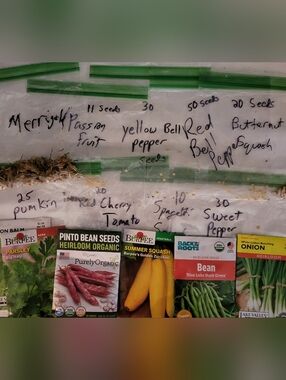 Various Seeds For Garden